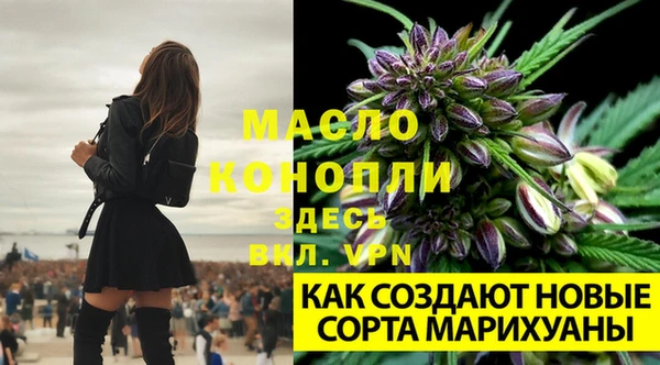 стаф Армянск