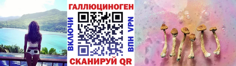 Галлюциногенные грибы Cubensis гидра ссылка Аша