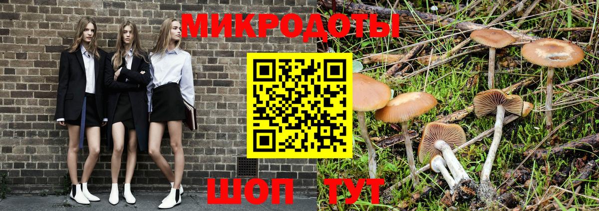 Псилоцибиновые грибы прущие грибы  Вход с VPN  Псилоцибиновые грибы Cubensis  Аша 